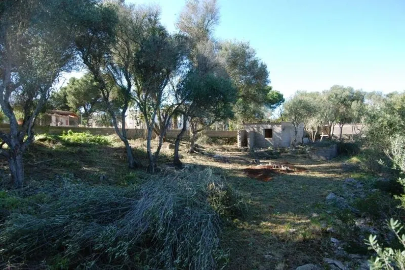 Urban plot with open views in Cala Santanyi — photo 2