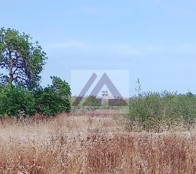 Rural land for sale in Santanyi — photo 2
