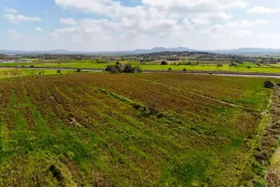 Building land in Vilafranca de Bonany — photo 1