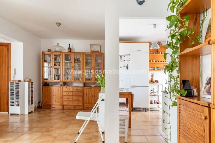 Penthouse. Palma de Mallorca — photo 5