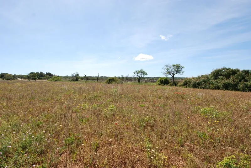 Plot with construction license located 800 meters from Ses Salines — photo 2