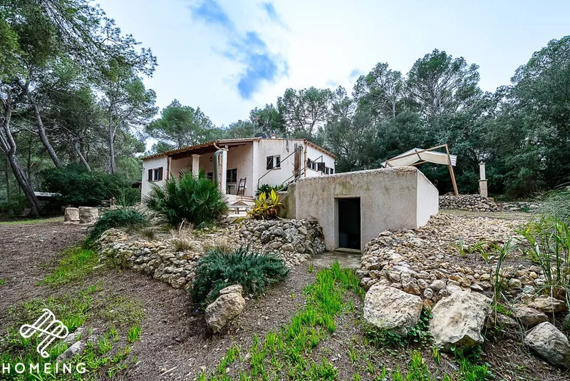 Unique rustic finca in a pine forest. Excellent state of preservation. — photo 5