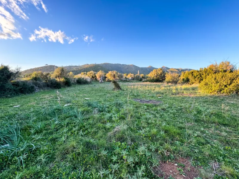 Exceptional offer: Beautiful rustic estate with views ... — photo 2