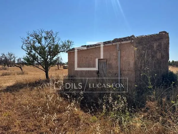 19,544m² plot with 19,544m² garden for sale in Campos — photo 9