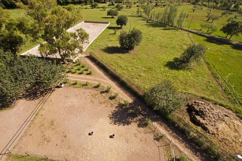 Magnificent exclusive property for sale in Pollensa set in Vall den March — photo 3