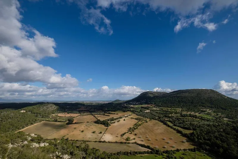Land in Palma de Mallorca, Province of Balearic Islands — photo 1