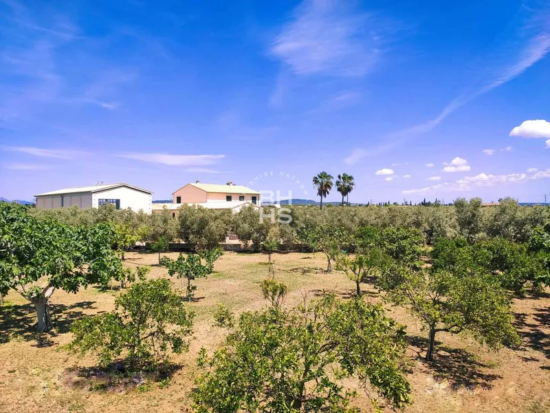 Rustic Finca for sale in Marratxí — photo 5