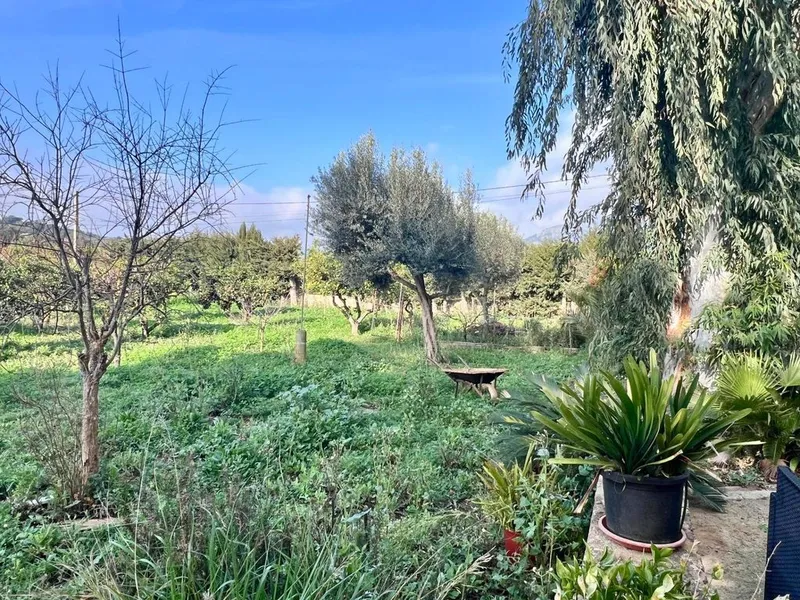 Rural or Farmhouse in Campanet, Province of Balearic Islands — photo 9