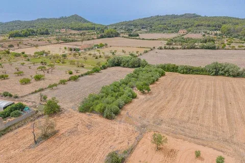 Land in Porreres, Mallorca — photo 2