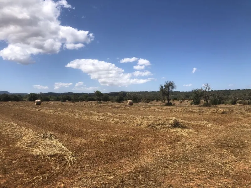 Plot with beautiful open views on a quiet plot 5 minutes from Campos — photo 5