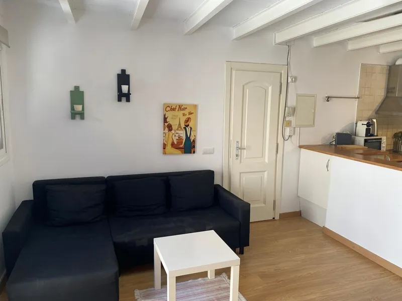 Unique Top Floor Duplex Apartment with Terrace in Santa Catalina — photo 5