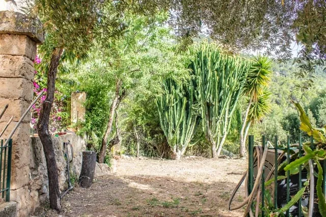 Finca/Country House for sale in Andratx, Mallorca — photo 5