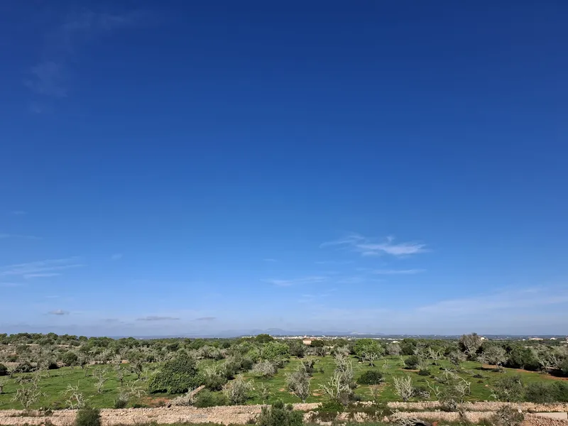 New build finca near Ses Salines with panoramic views to Cabrera 1 — photo 5