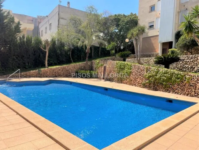 Apartment in Palma de Mallorca, Colegios Area — photo 1