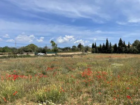 Plot — photo 12