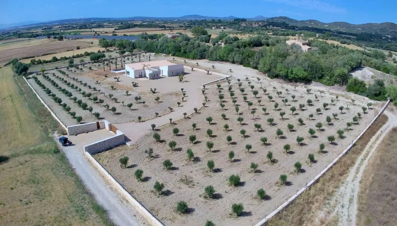 New-build villa with infinity pool and 222 olive trees – near Rafa Nadal Academy — photo 10