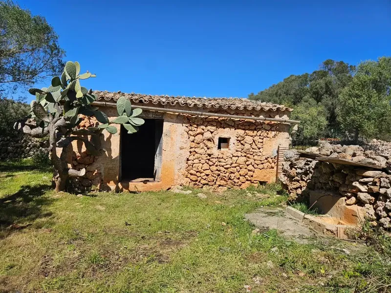 Unique opportunity to acquire a large rustic estate in the tranquil municipality of Costitx, in the heart of Mallorca. — photo 3