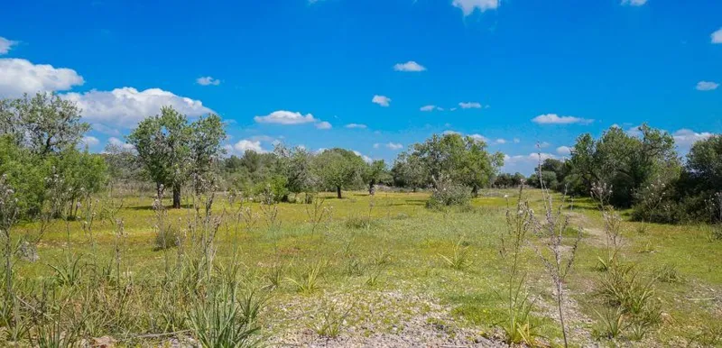 Rustic estate near Cala Pí — 136,400 m², Llucmajor area, 10 min from the coast — photo 7