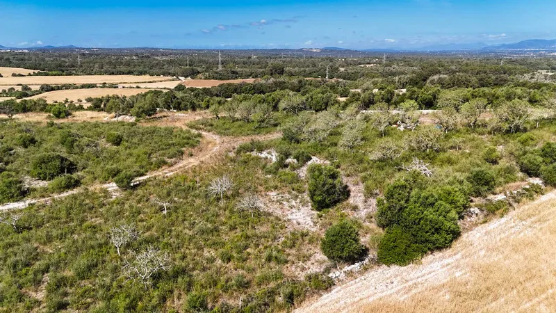 Llubi – Building plot with 35,032 m2 of land without project — photo 6