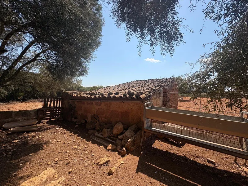 FINCA RUSTICA CON CASITA AGRARIA DE UNOS 34M2 CON CISTERNA — photo 2