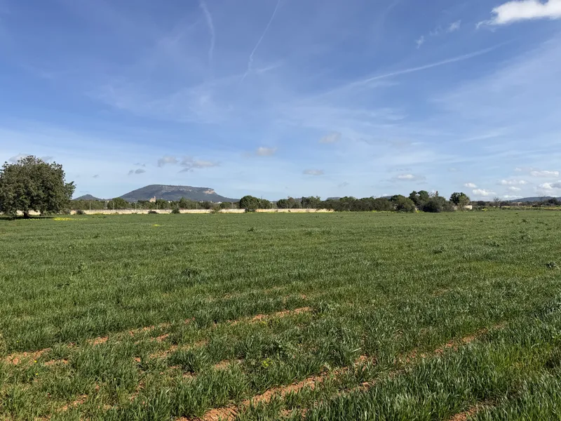 Finca with project and license — photo 5