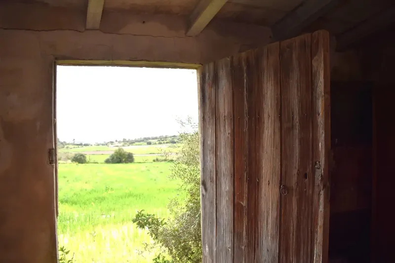 Set of 3 plots totaling 15,988 m2, perfect for building your dream home in Muro. — photo 1