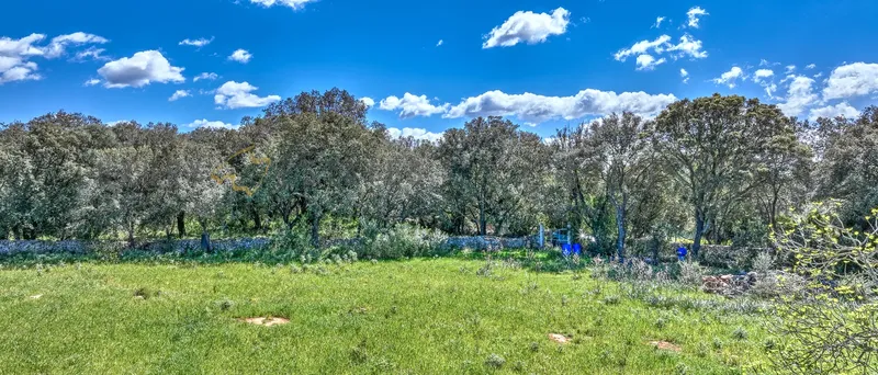 Idyllically situated plot in Buger with building permit for a country house with pool — photo 2