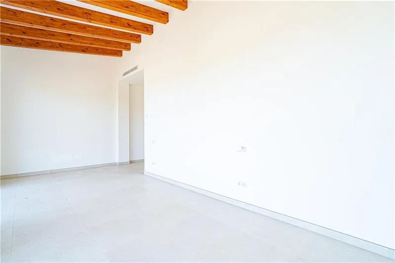 Newly built finca with swimming pool on a plot of approx. 27,000 m² with open views — photo 7