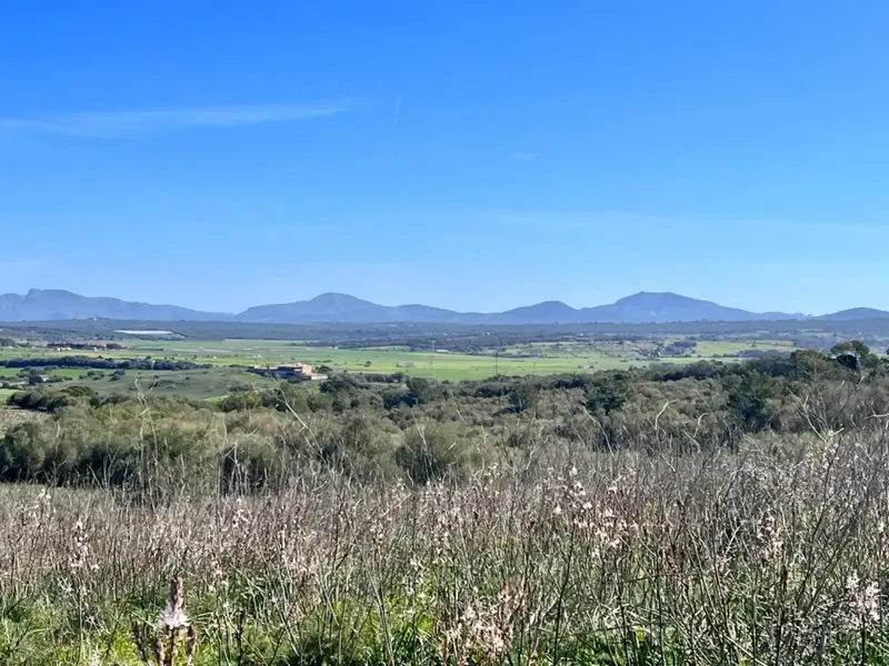 We are in Petra, in the middle of Pla de Mallorca, in a privileged setting with panoramic views, views of Ariany, Maria de la Salut — photo 5