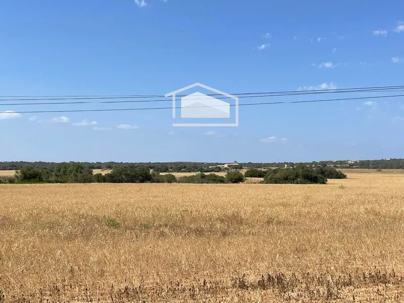 Buildable rustic plot of 16,237 m² in Ses Salines with approved project — photo 2