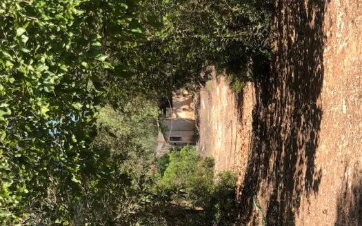 Rustic Finca in Campos — photo 9