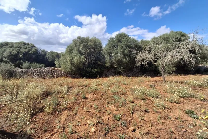 Plot with partial sea views between Cas Concos and Santanyí T 15 — photo 9