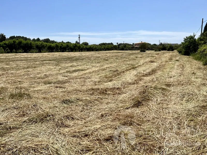 Land — photo 3