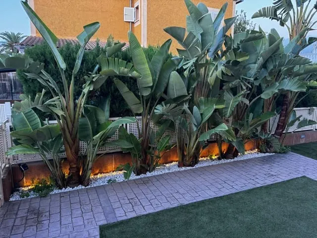 Villa for rent in Puerto de Alcudia, Alcúdia, Mallorca — photo 7