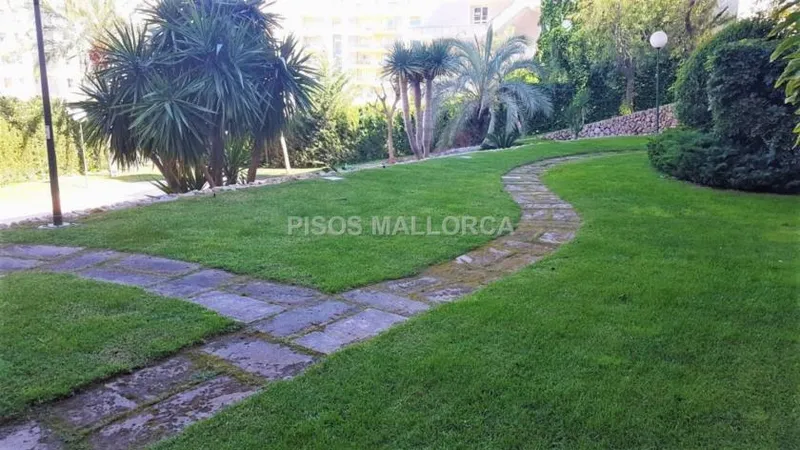 Apartment in Palma de Mallorca, Colegios Area — photo 8