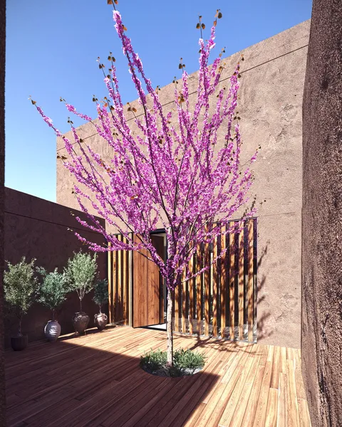 New Build Chalet in Sa Torre — photo 4