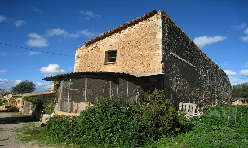 Rustic country property of 1,250,000 m² with buildings in the vicinity of Palma city — photo 2