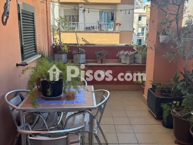 Apartment in La Soledad Norte — photo 1