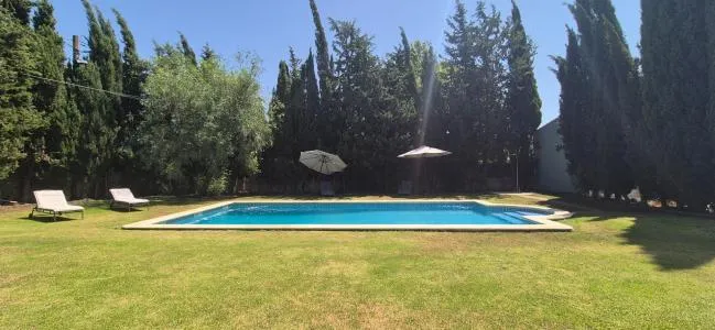 Rustic property - Alaró — photo 11