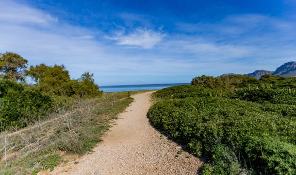Building plot on the seafront in Cala Tono, Colonia Sant Pere — photo 11