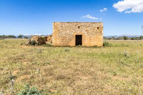 Plot — photo 8