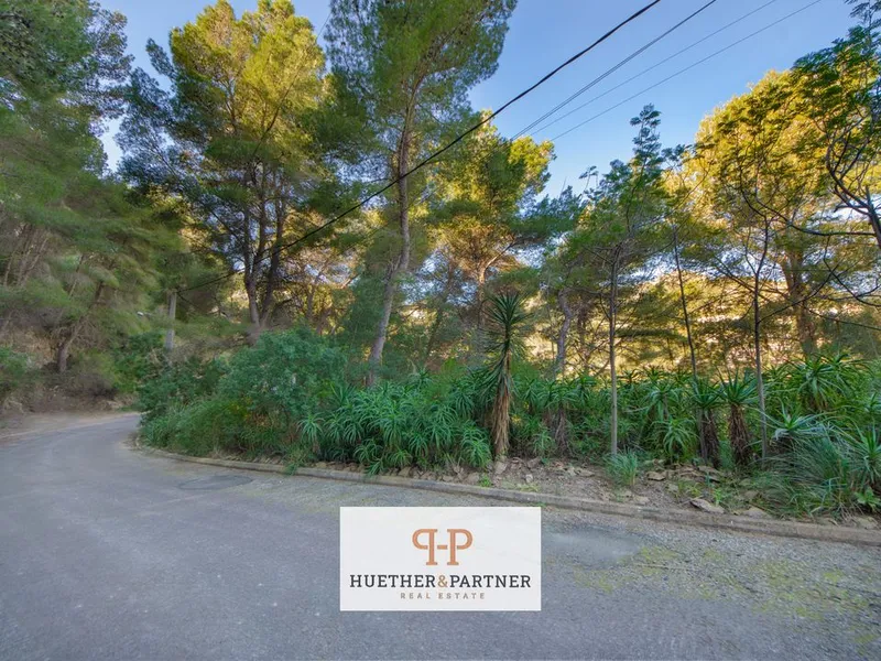 Land in Canyamel, Mallorca — photo 5