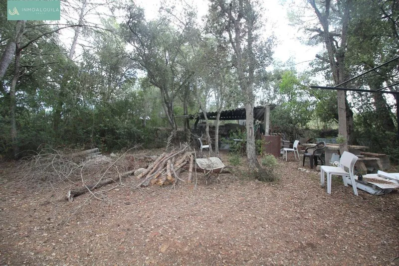 Rural or Farmhouse in Sineu, Province of Balearic Islands — photo 6