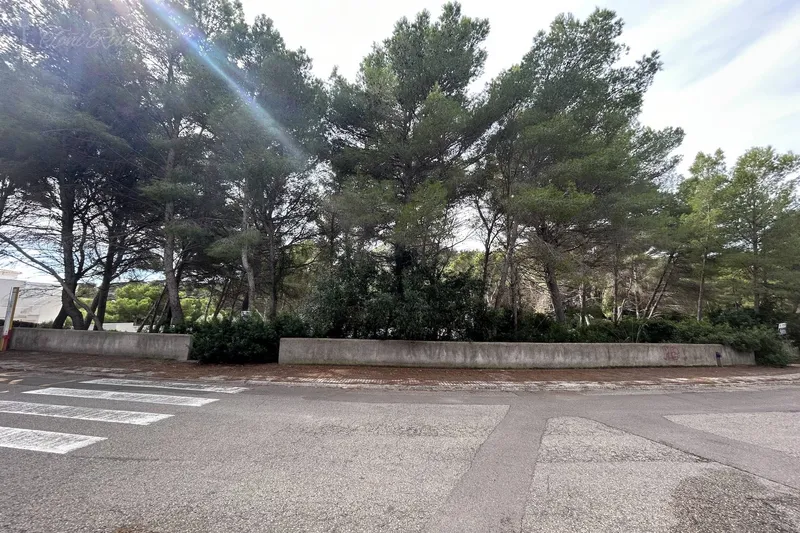S6 - Plot for sale in Font de Sa — photo 4