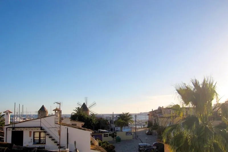 Nice studio in the heart of Santa Catalina — photo 11