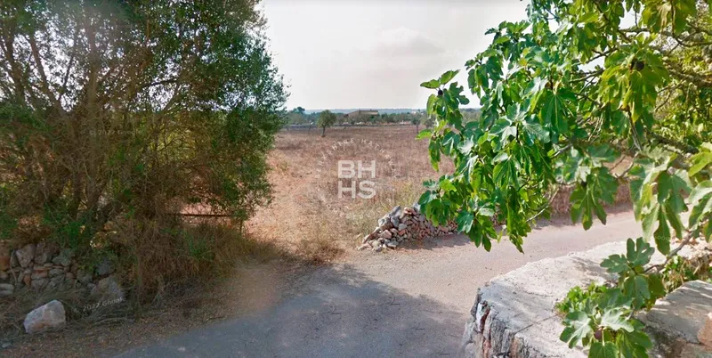 Country plot for sale in Santanyí — photo 3