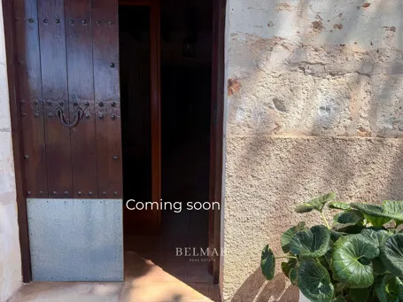 Rustic finca with an idyllic garden and pool between Son Carrio and Porto Cristo — photo 10