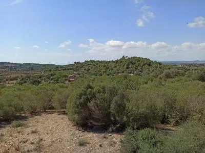 Finca Top Location for Renovation for Sale in Son Macia — photo 6