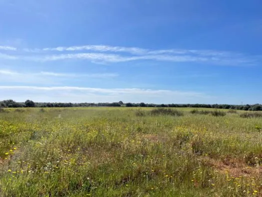 Parcela,113000 M 2 — photo 1