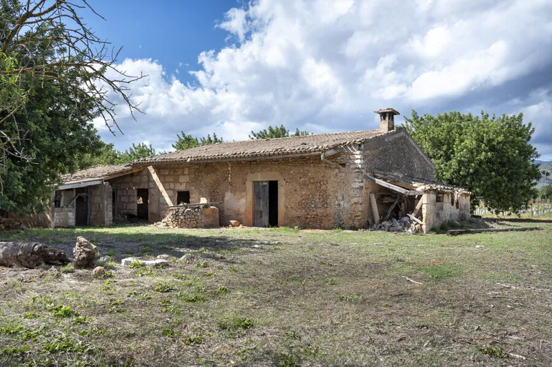 Exceptional Vineyard Plot with Approved License for Luxury Villa Construction — photo 6